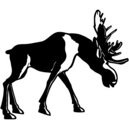 Moose Vinyl Decal Sticker V15 - DecalsHouse