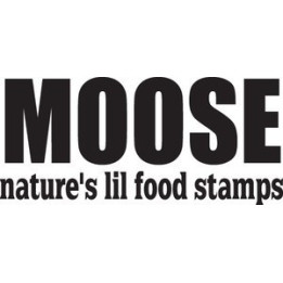 Moose Vinyl Decal Sticker V20 - DecalsHouse