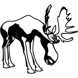 Moose Vinyl Decal Sticker V7 - DecalsHouse