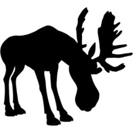 Moose Vinyl Decal Sticker V8 - DecalsHouse