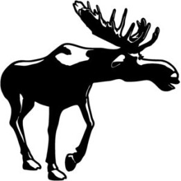 Moose Vinyl Decal Sticker V9 - DecalsHouse