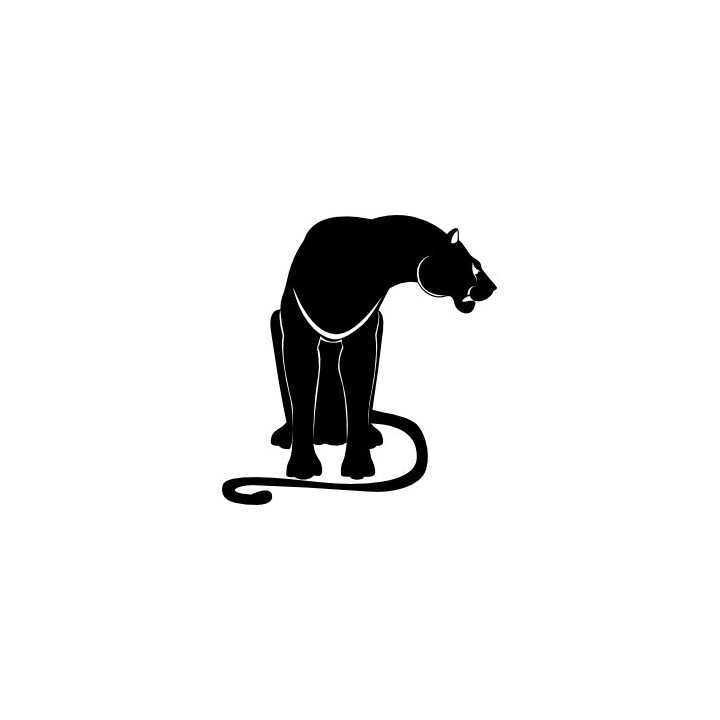 Panther Vinyl Decal Sticker V24 - DecalsHouse