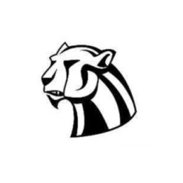 Panther Vinyl Decal Sticker V35 - DecalsHouse
