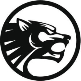 Panther Vinyl Decal Sticker V37 - DecalsHouse