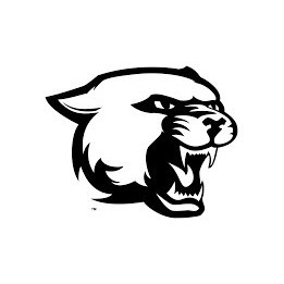 Panther Vinyl Decal Sticker V39 - DecalsHouse