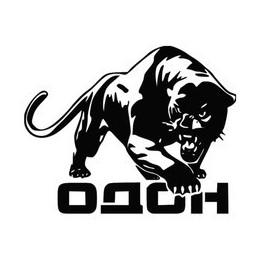Panther Vinyl Decal Sticker V41 - DecalsHouse
