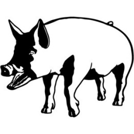 Pig Stickers – Realistic Swine Farm Decals (2-Pack)