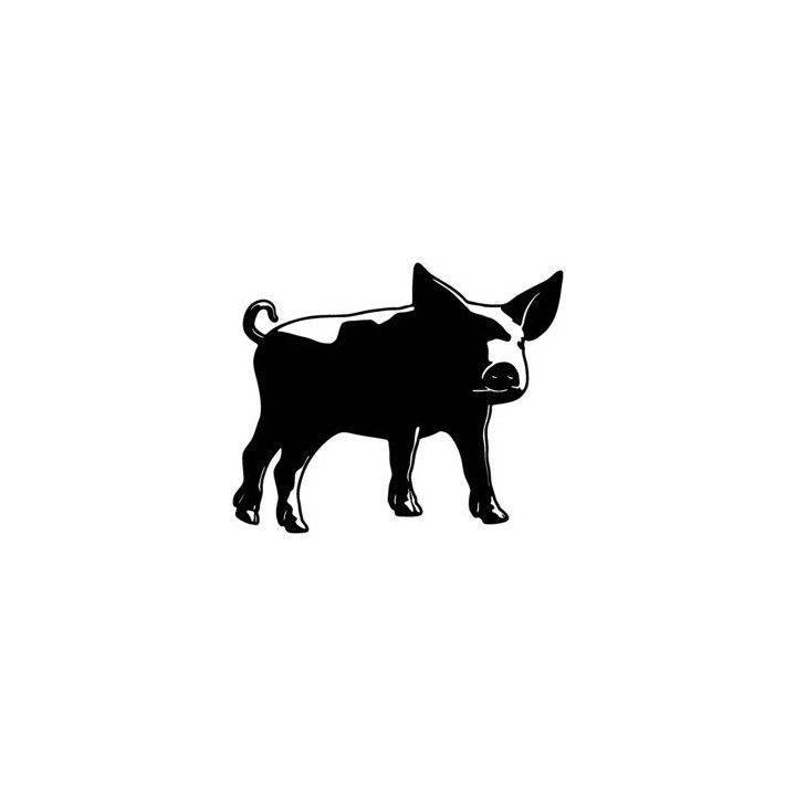 Pig Stickers – Realistic Farm Animal Decals (2-Pack)
