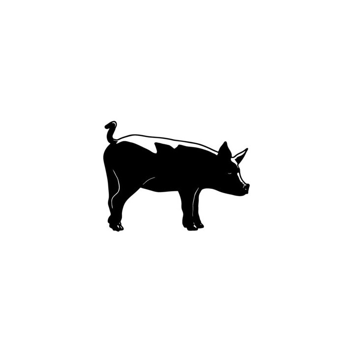 Pig Stickers – Farm Animal Swine Decals (2-Pack)