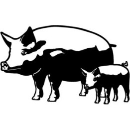 Pig Stickers – Sow & Piglet Farm Decals (2-Pack)