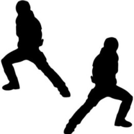Rock Lee Stickers – Naruto Taijutsu Anime Decals (2-Pack)