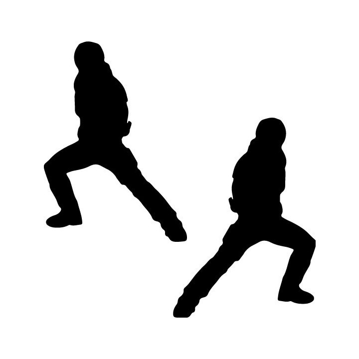 Rock Lee Stickers – Naruto Taijutsu Anime Decals (2-Pack)