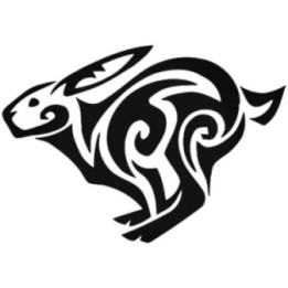 Rabbit Vinyl Decal Sticker V17 - DecalsHouse