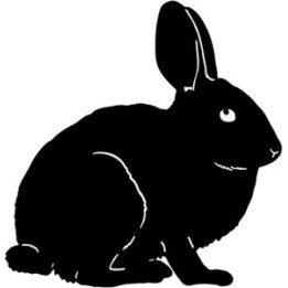 Rabbit Vinyl Decal Sticker V3 - DecalsHouse