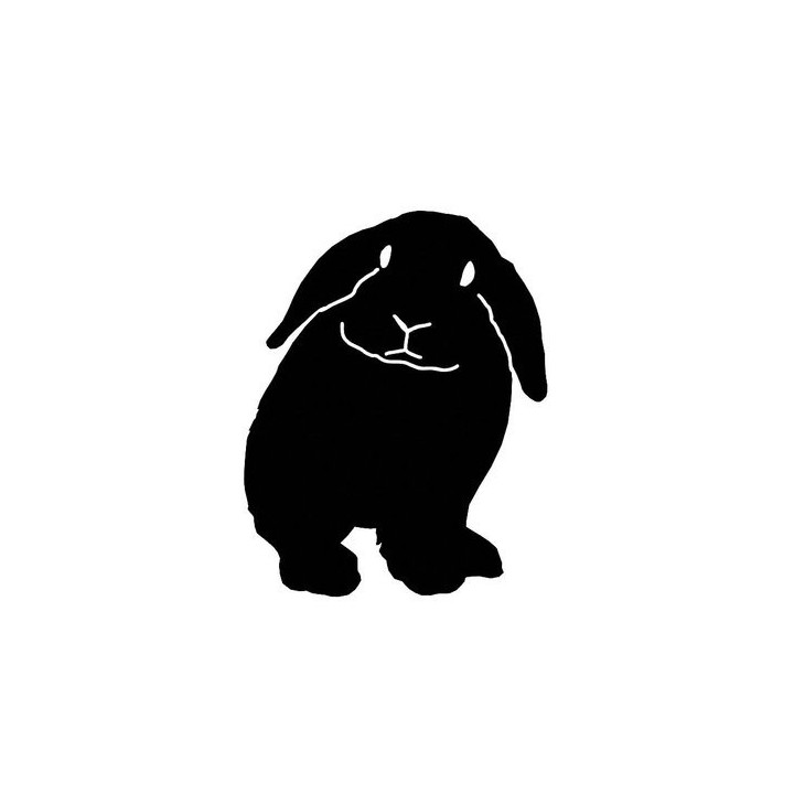 Rabbit Vinyl Decal Sticker V30 - DecalsHouse