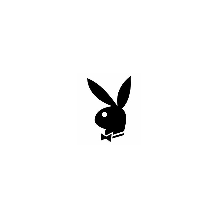 Rabbit Vinyl Decal Sticker V36 - DecalsHouse