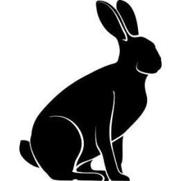 Rabbit Vinyl Decal Sticker V39 - DecalsHouse