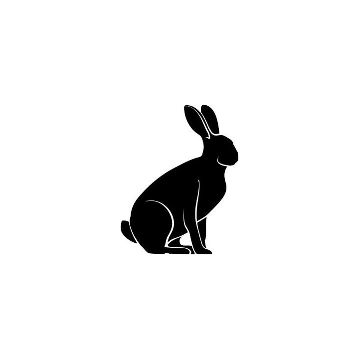 Rabbit Vinyl Decal Sticker V39 - DecalsHouse