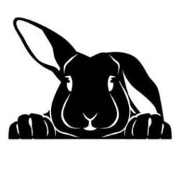 Rabbit Vinyl Decal Sticker V40 - DecalsHouse