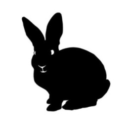 Rabbit Vinyl Decal Sticker V46 - DecalsHouse