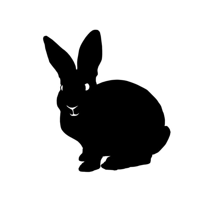 Rabbit Vinyl Decal Sticker V46 - DecalsHouse