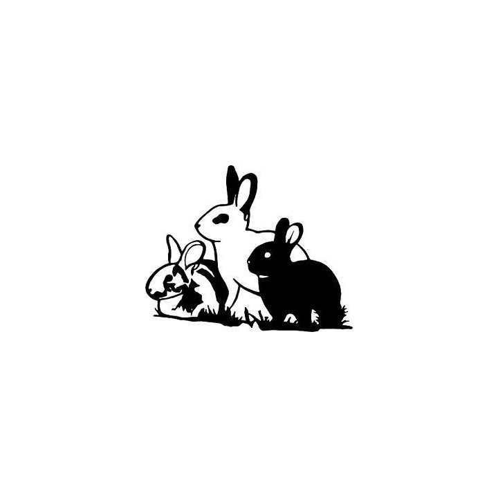 Rabbit Vinyl Decal Sticker V49 - DecalsHouse