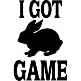 Rabbit Vinyl Decal Sticker V51 - DecalsHouse