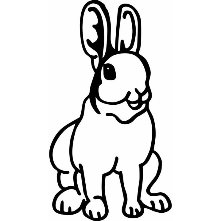 Rabbit Vinyl Decal Sticker V54 - DecalsHouse