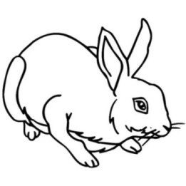 Rabbit Vinyl Decal Sticker V58 - DecalsHouse