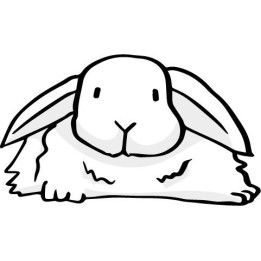Rabbit Vinyl Decal Sticker V67 - DecalsHouse