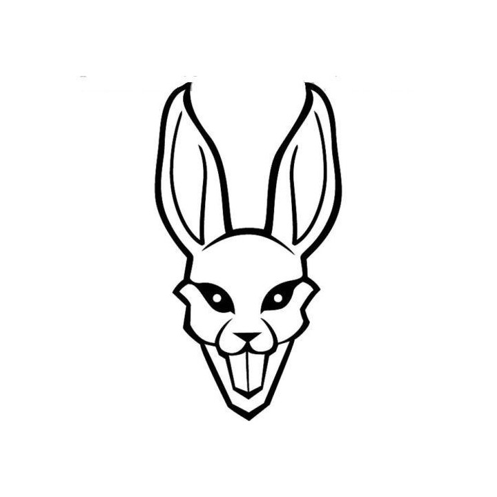 Rabbit Vinyl Decal Sticker V69 - DecalsHouse