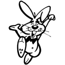 Rabbit Vinyl Decal Sticker V70 - DecalsHouse