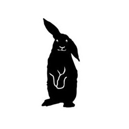 Rabbit Vinyl Decal Sticker V72 - DecalsHouse