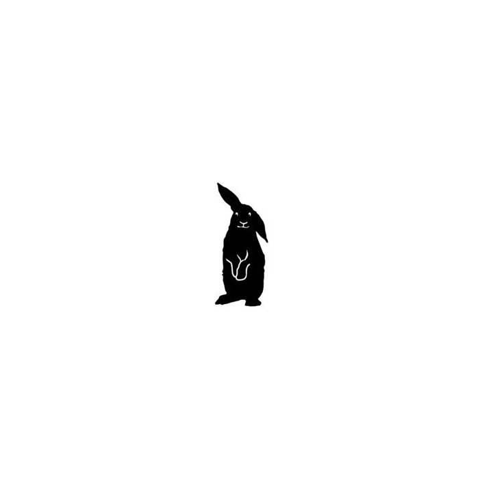 Rabbit Vinyl Decal Sticker V72 - DecalsHouse