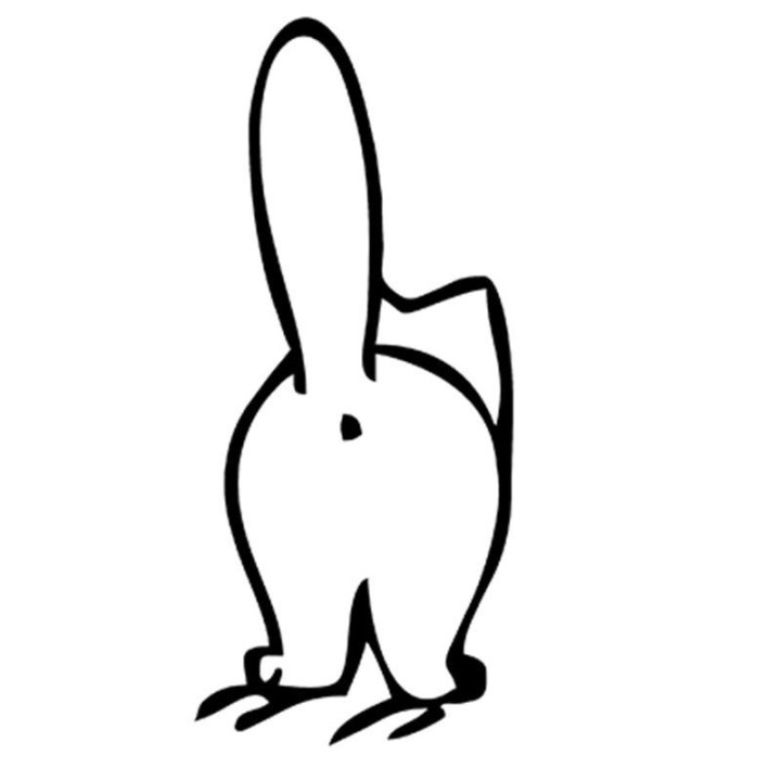 Rabbit Vinyl Decal Sticker V73 - DecalsHouse