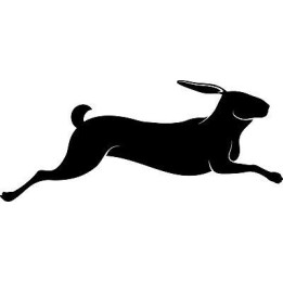 Rabbit Vinyl Decal Sticker V76 - DecalsHouse