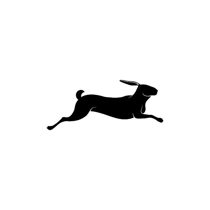 Rabbit Vinyl Decal Sticker V76 - DecalsHouse