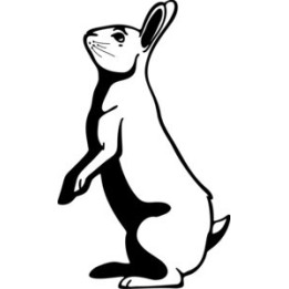 Rabbit Vinyl Decal Sticker V8 - DecalsHouse