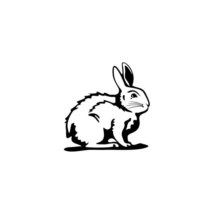 Rabbit Vinyl Decal Sticker V9 - DecalsHouse