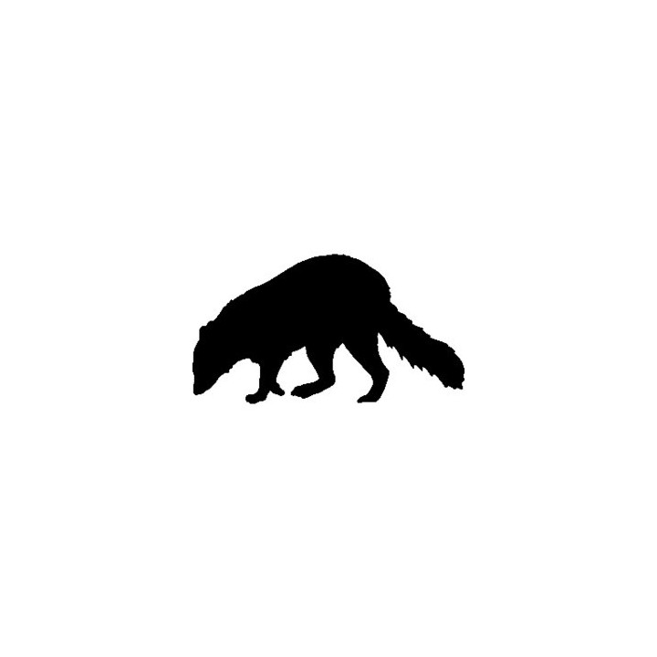 Raccoon Coon Vinyl Decal Sticker V12 - DecalsHouse