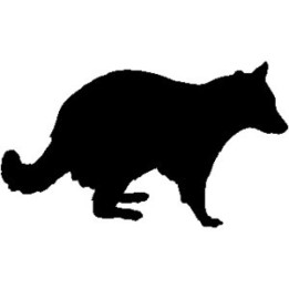 Raccoon Coon Vinyl Decal Sticker V13 - DecalsHouse