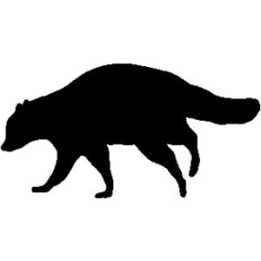 Raccoon Coon Vinyl Decal Sticker V14 - DecalsHouse