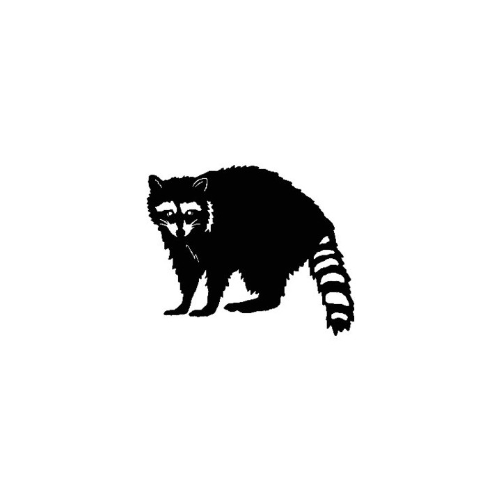 Raccoon Coon Vinyl Decal Sticker V16 - DecalsHouse