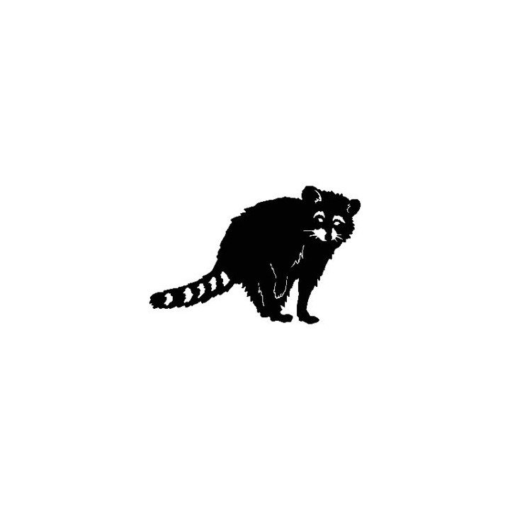 Raccoon Coon Vinyl Decal Sticker V18 - DecalsHouse