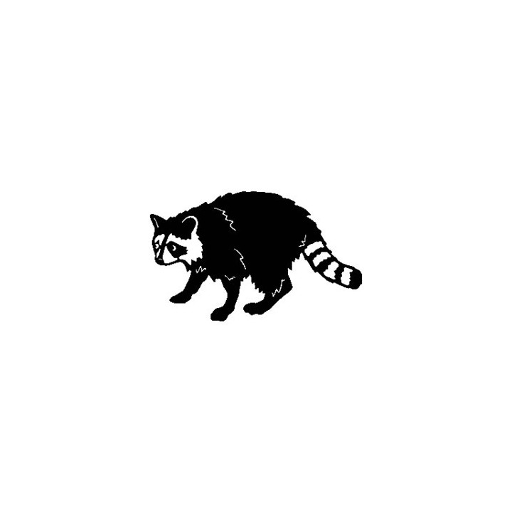 Raccoon Coon Vinyl Decal Sticker V2 - DecalsHouse