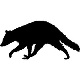 Raccoon Coon Vinyl Decal Sticker V20 - DecalsHouse