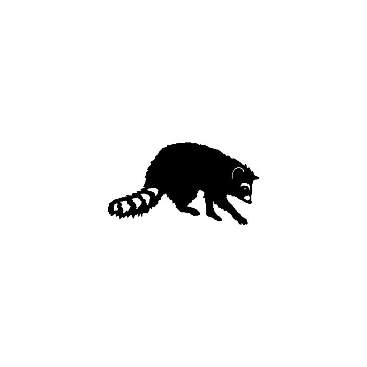 Raccoon Coon Vinyl Decal Sticker V21 - DecalsHouse