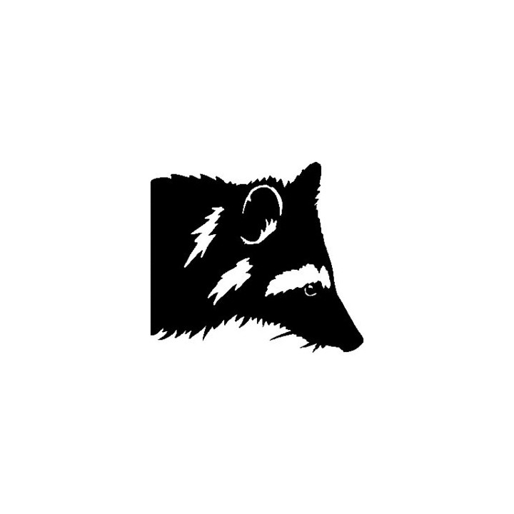 Raccoon Coon Vinyl Decal Sticker V22 - DecalsHouse
