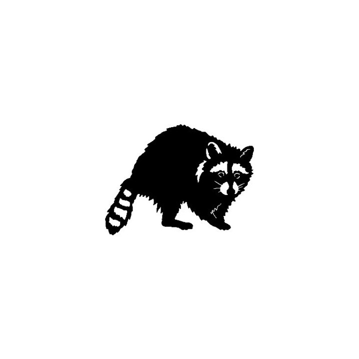 Raccoon Coon Vinyl Decal Sticker V24 - DecalsHouse