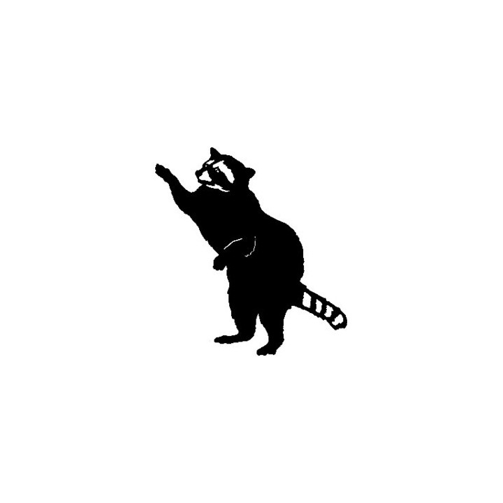 Raccoon Coon Vinyl Decal Sticker V27 - DecalsHouse
